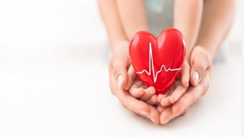 Heart Health Essentials: दिल की सेहत के लिए महत्वपूर्ण हैं ये सुबह की आदतें, बनाएं अपने हृदय को स्वस